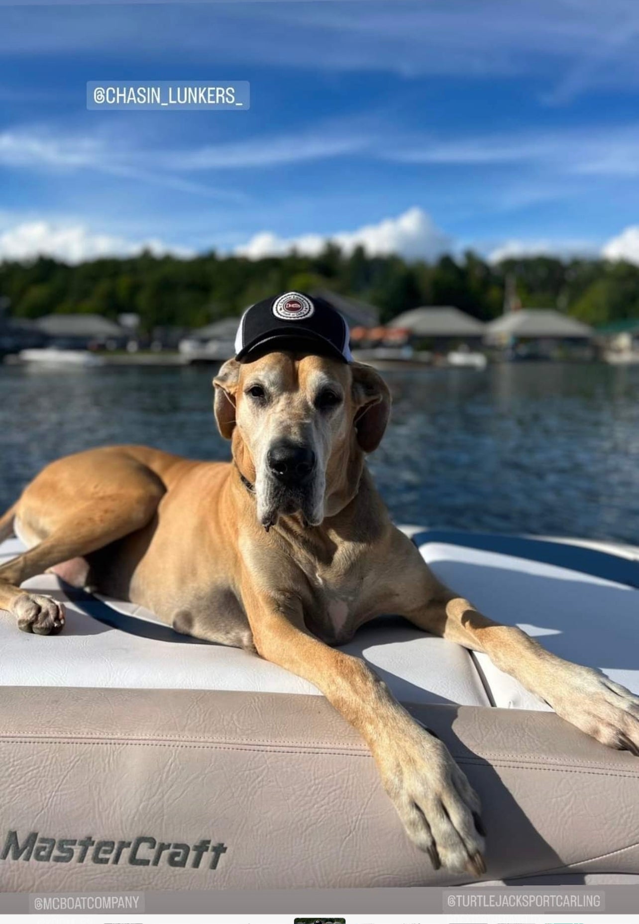 "Chasin' Lunkers" Classic Snapback Trucker